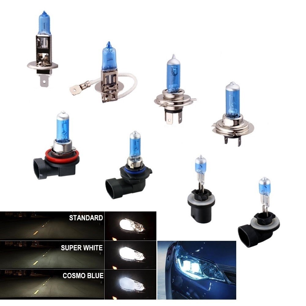 Halogen Bulb Vision Halogen Bulb Vision